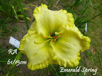 Emerald Spring Kopie